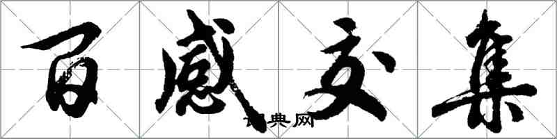 胡問遂百感交集行書怎么寫