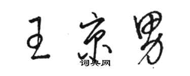 駱恆光王京男草書個性簽名怎么寫