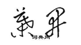 駱恆光葉開草書個性簽名怎么寫