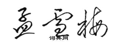 駱恆光孟雪梅草書個性簽名怎么寫