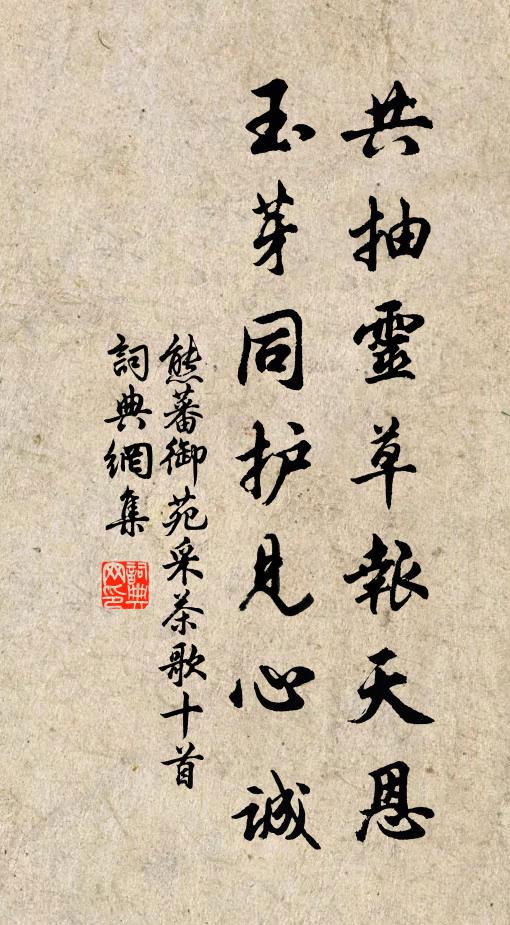 皎皎雲間月，灼灼月中華 詩詞名句