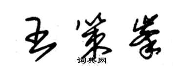 朱錫榮王策峰草書個性簽名怎么寫