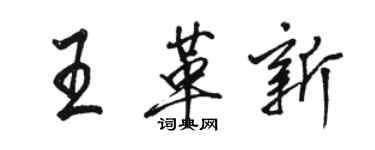 駱恆光王革新行書個性簽名怎么寫