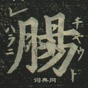 姜立綱四體千字文中腸的寫法