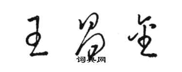 駱恆光王昌金草書個性簽名怎么寫