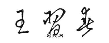 駱恆光王習春草書個性簽名怎么寫