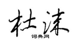 王正良杜沫行書個性簽名怎么寫