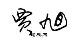 朱錫榮賈旭草書個性簽名怎么寫