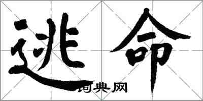 翁闓運逃命楷書怎么寫