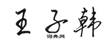 駱恆光王子韓行書個性簽名怎么寫