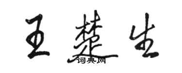 駱恆光王楚生行書個性簽名怎么寫