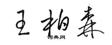 駱恆光王柏森草書個性簽名怎么寫