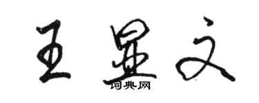 駱恆光王顯文行書個性簽名怎么寫