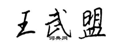 王正良王武盟行書個性簽名怎么寫