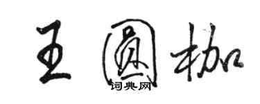 駱恆光王圓枷行書個性簽名怎么寫