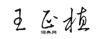 駱恆光王正植草書個性簽名怎么寫