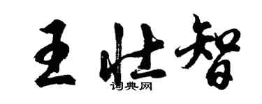 胡問遂王壯智行書個性簽名怎么寫