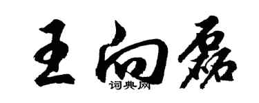 胡問遂王向磊行書個性簽名怎么寫