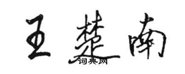 駱恆光王楚南行書個性簽名怎么寫