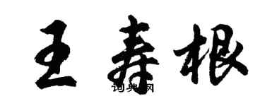 胡問遂王壽根行書個性簽名怎么寫