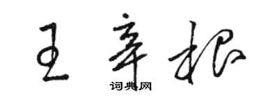 駱恆光王辛根草書個性簽名怎么寫