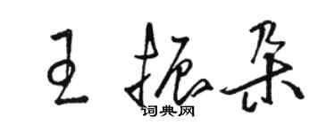 駱恆光王振朵草書個性簽名怎么寫