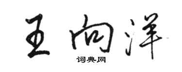 駱恆光王向洋行書個性簽名怎么寫