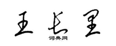 梁錦英王長里草書個性簽名怎么寫