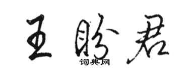 駱恆光王盼君行書個性簽名怎么寫