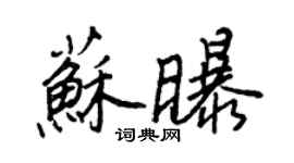 王正良蘇曝行書個性簽名怎么寫