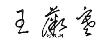 駱恆光王薇寒草書個性簽名怎么寫