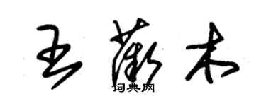 朱錫榮王薇木草書個性簽名怎么寫