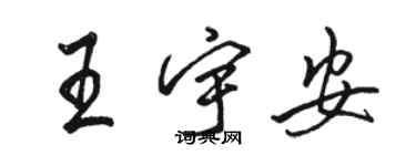 駱恆光王宇安行書個性簽名怎么寫