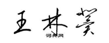 梁錦英王林冀草書個性簽名怎么寫