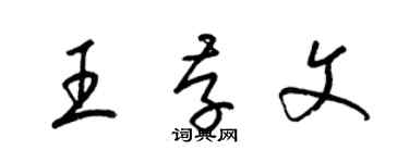 梁錦英王存文草書個性簽名怎么寫