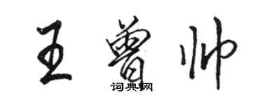 駱恆光王曾帥行書個性簽名怎么寫