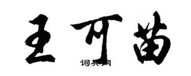 胡問遂王可苗行書個性簽名怎么寫