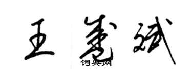 梁錦英王盛斌草書個性簽名怎么寫