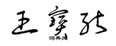 曾慶福王寶能草書個性簽名怎么寫