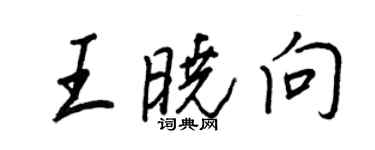 王正良王曉向行書個性簽名怎么寫