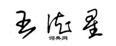 朱錫榮王德星草書個性簽名怎么寫