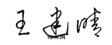 駱恆光王建晴草書個性簽名怎么寫