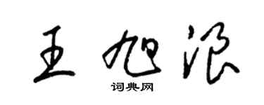 梁錦英王旭浪草書個性簽名怎么寫