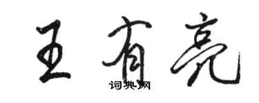 駱恆光王有亮行書個性簽名怎么寫