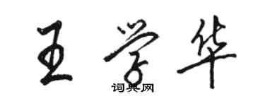 駱恆光王學華行書個性簽名怎么寫