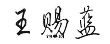 駱恆光王賜藍行書個性簽名怎么寫