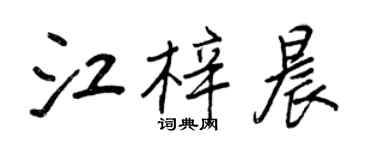 王正良江梓晨行書個性簽名怎么寫