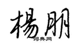 王正良楊朋行書個性簽名怎么寫