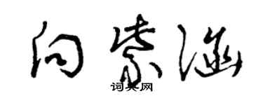 曾慶福向紫涵草書個性簽名怎么寫