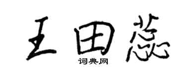 王正良王田蕊行書個性簽名怎么寫